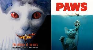 Зависнуть в Палм-Спрингс